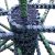 Building a Cybersecurity Curriculum Informed by Real-World Attackers
